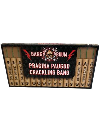 Pragina paugud / Päti paugud 15tk