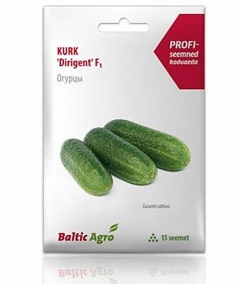 Avamaakurk Dirigent F1, 10s