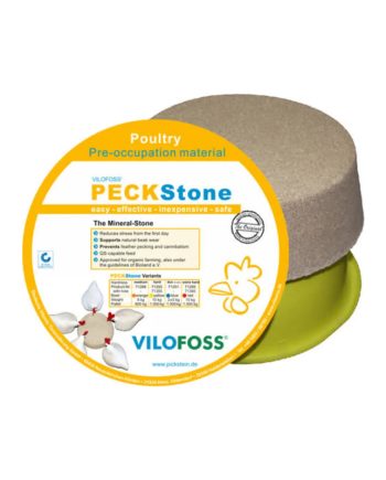 Nokakivi 10kg scandagra