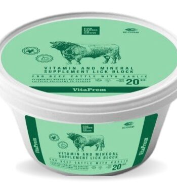 Lakumineraal küüslauguga