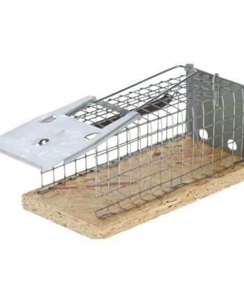 Hiirepuur puit põhjaga