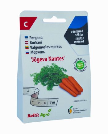 Porgand Jõgeva Nantes 4m seemnelindil