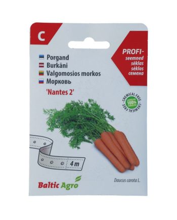 Porgand Nantes 2 seemnelindil 4m