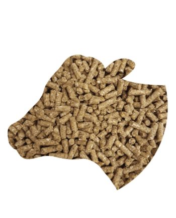 täiendsööt vasikatele