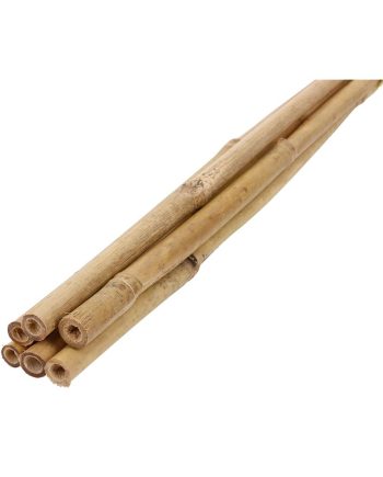 Bambustugi kõrgus 0,6m, Ø 6-8 mm 6 tk/kmpl