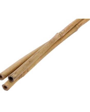 Bambustugi kõrgus 1,2m, Ø 10-12 mm 3tk/kmpl