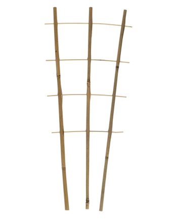 Taimeredel bambus 3 haru 4 astet 60 cm kõrgus