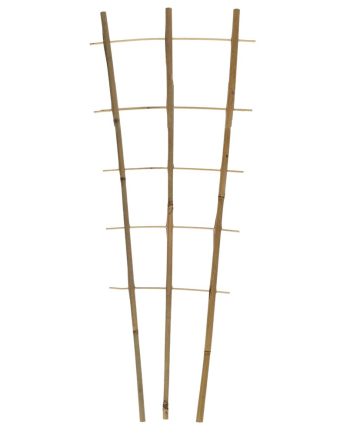 Taimeredel bambus 3 haru 6 astet 240 cm kõrgus