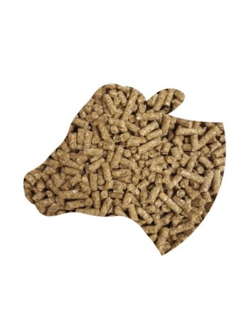 Täissööt: söödalisand lüpsilehmadele (20%) 1000kg