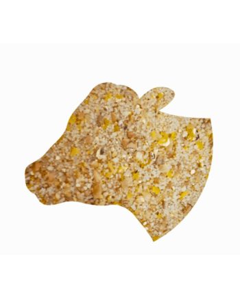 Valgu-, vitamiini- ja mineraalsöödalisand lüpsilehmadele 40kg