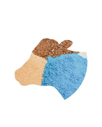 Mineraal- ja vitamiinisöödalisand lüpsilehmadele KOMBI PLUS SUPER GARLIC 25kg